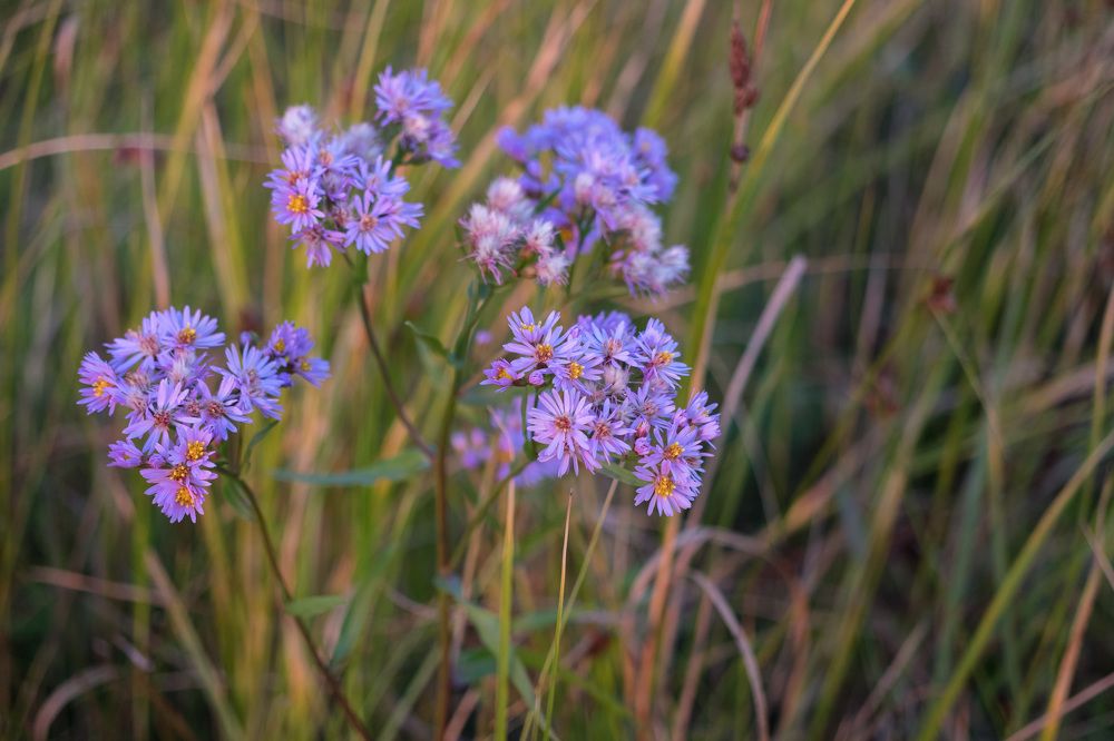 Photograph by Роман Гладкий