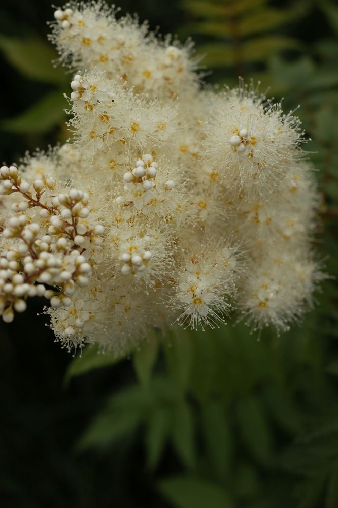 Photograph by Надежда Соболевская