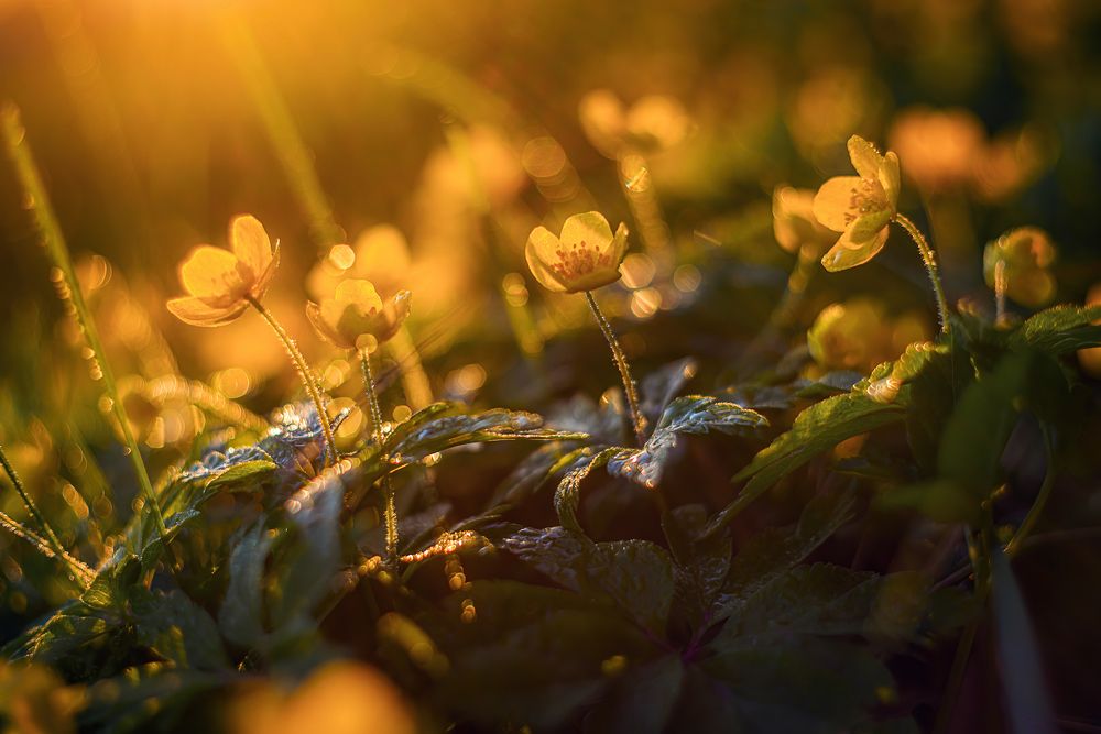 Photograph by Марина Мурашова