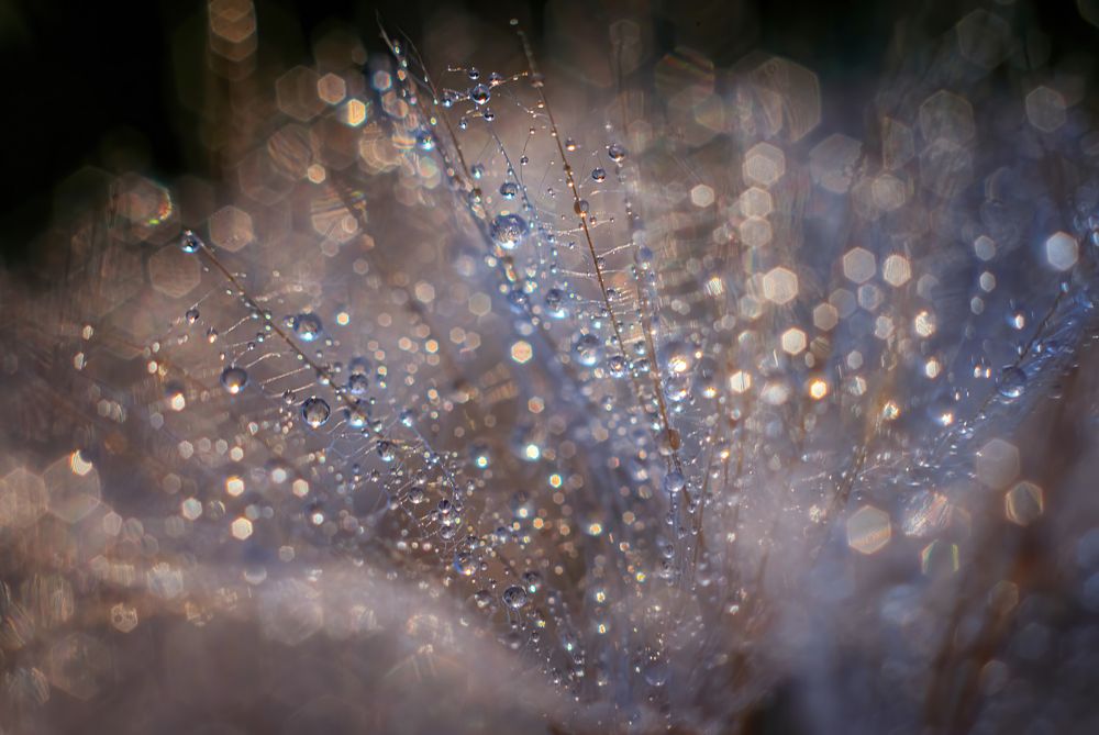 Photograph by Марина Мурашова