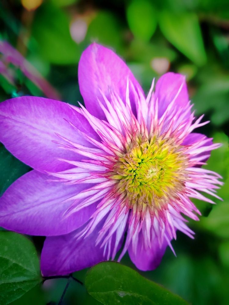 Photograph by Куделенко Оксана