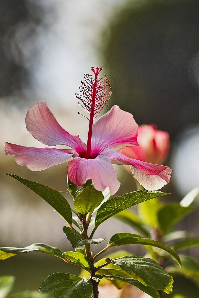 Photograph by Устинов Андрей