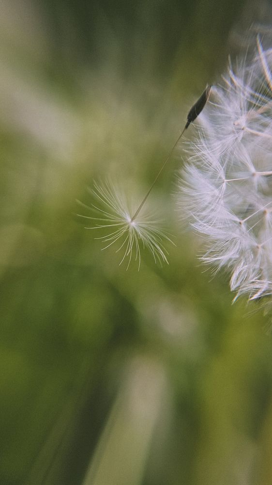 Фотография автора Olga