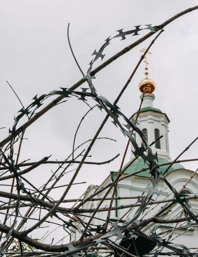 Фотография автора Анна Хабарова