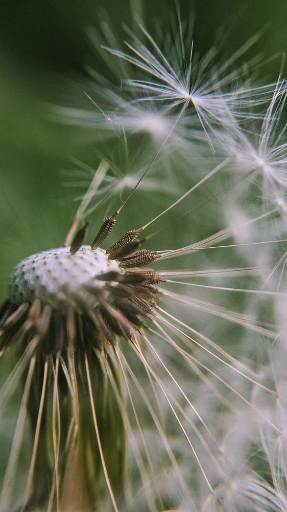 Фотография автора Olga