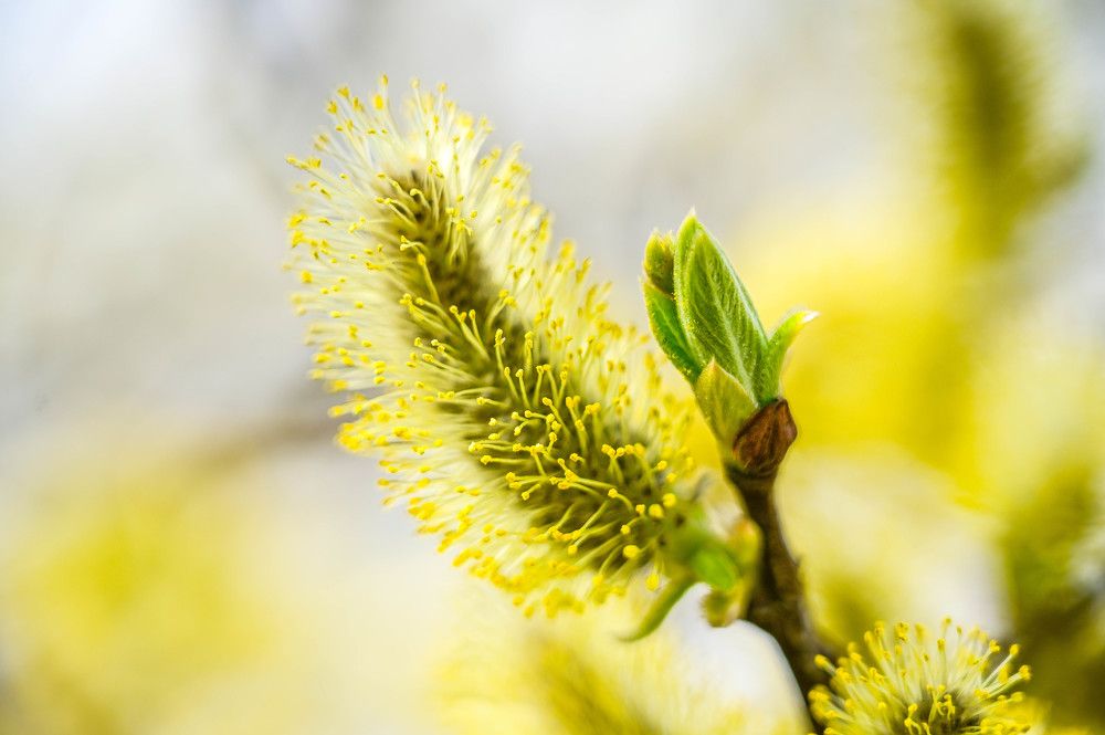 Photograph by Tanzilya Gabidullina