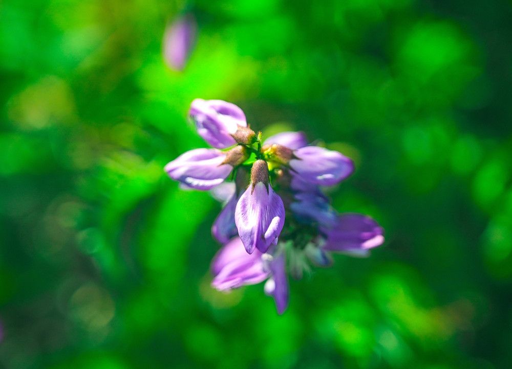 Photograph by Tanzilya Gabidullina