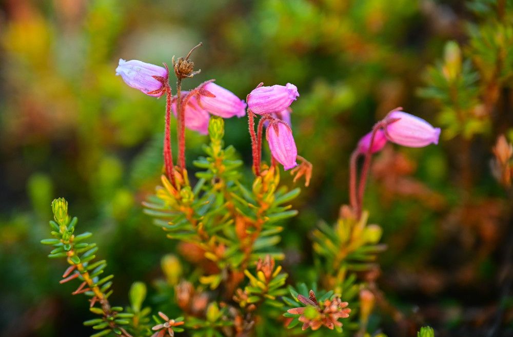 Photograph by Tanzilya Gabidullina