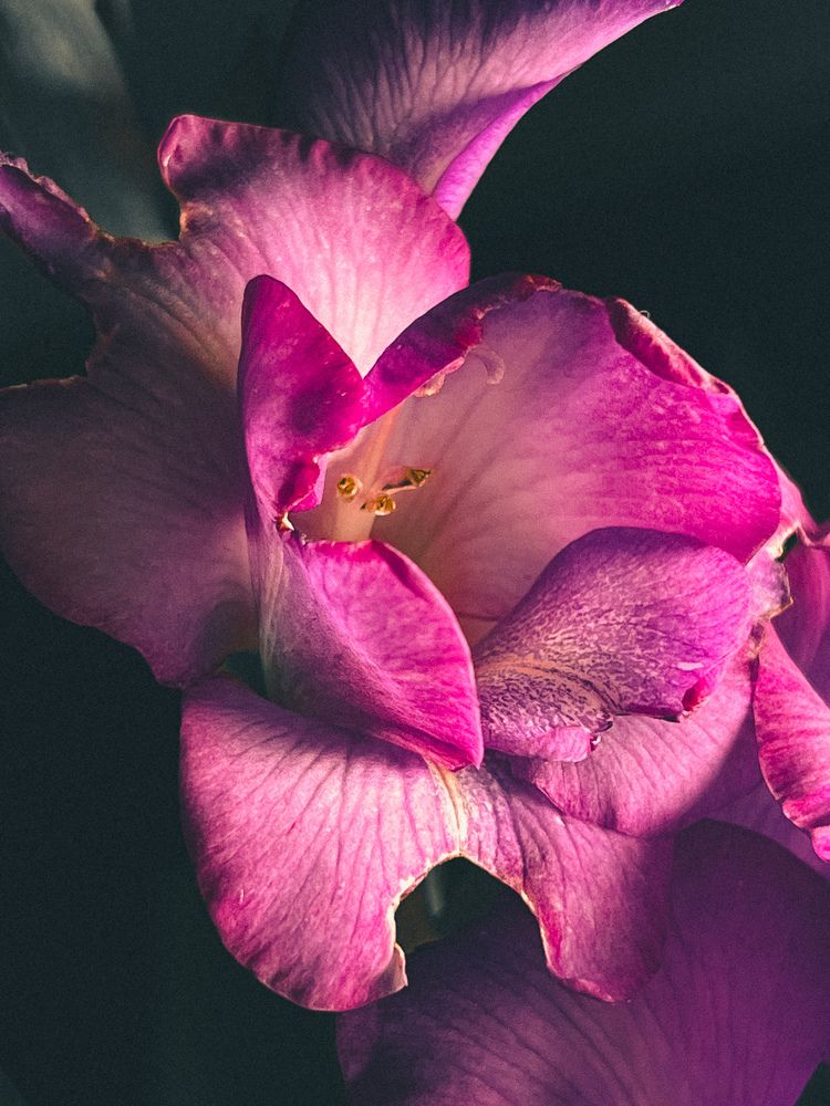 Photograph by Наталья Чернышова