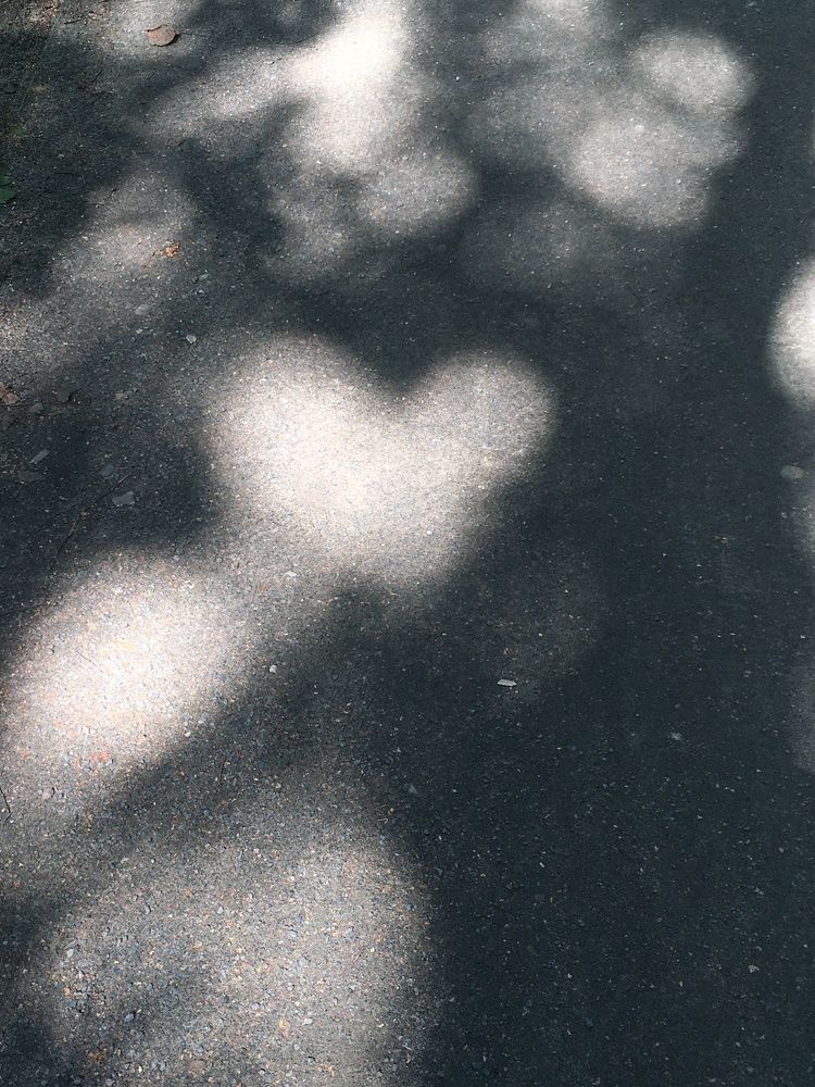 Photograph by Наталья Горбунова