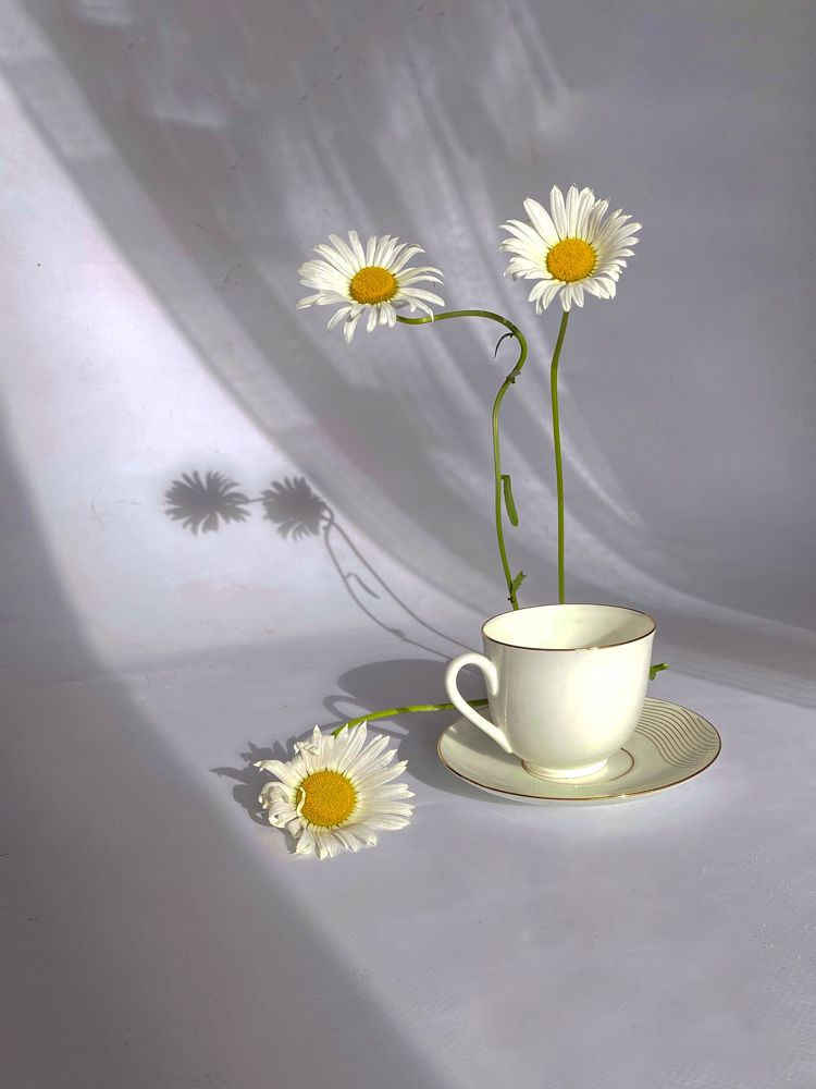 Photograph by Вера Романова