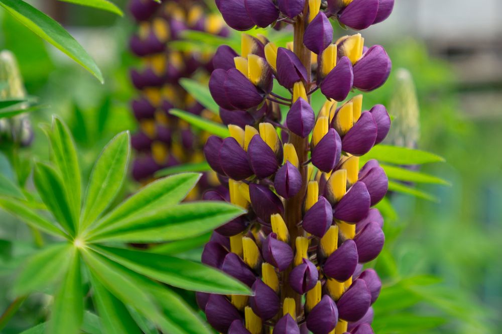 Photograph by Антон Демидов