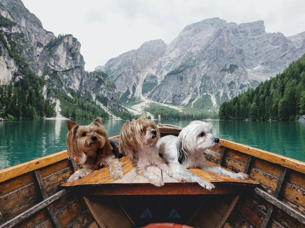 Photograph by Лолита Богачева