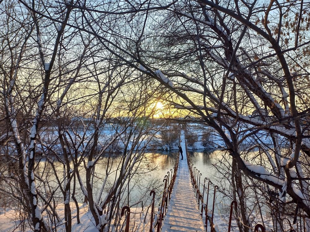 Photograph by Юлия Рязанова