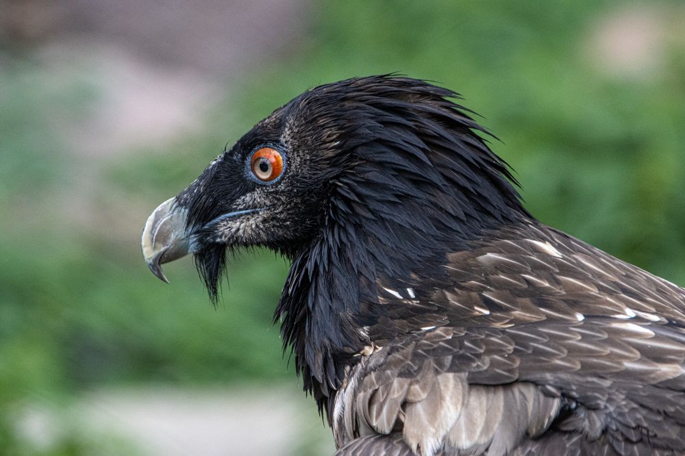 Photograph by Виталий Маслов