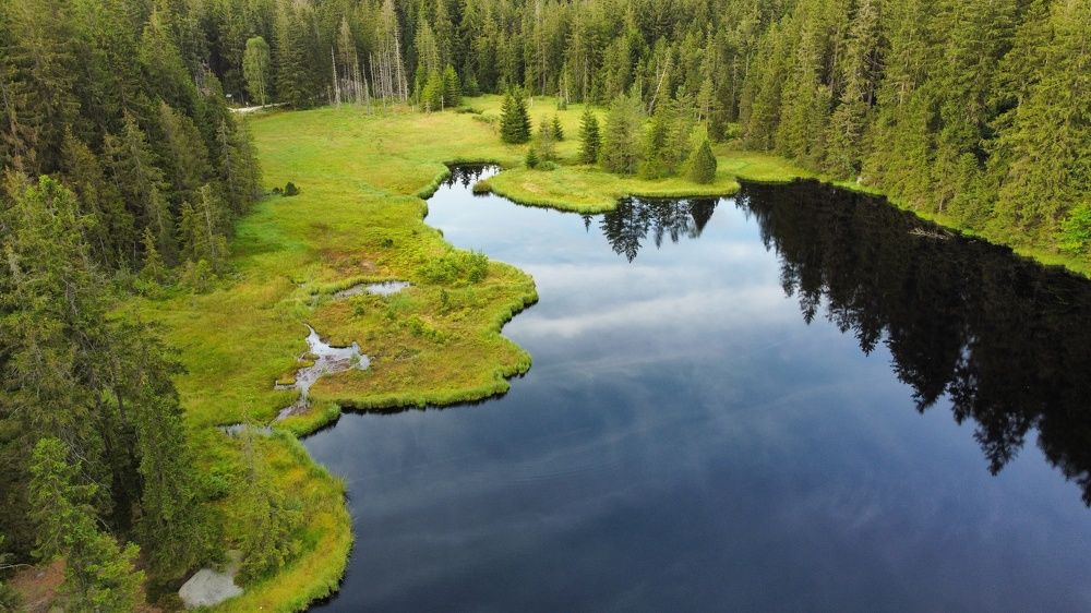 Фотография автора Igor Dyomin