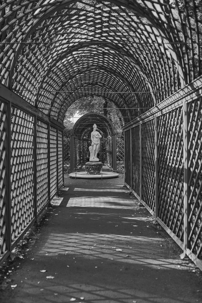 Photograph by Устинов Андрей