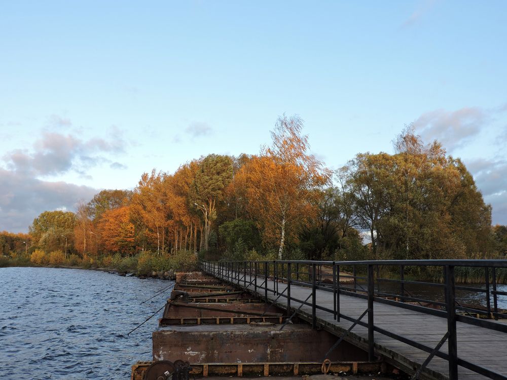 Дорога в осень / Way to autumn