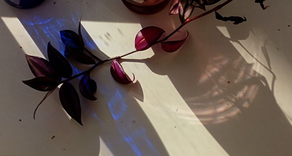 Photograph by Анастасия Кичигина