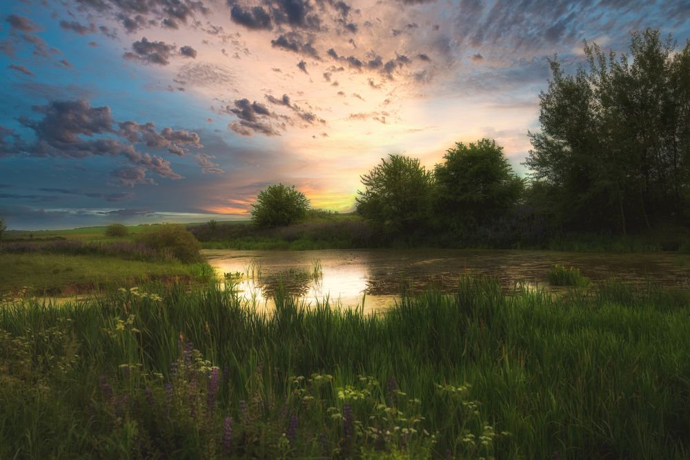 Photograph by Андрей Ныриков