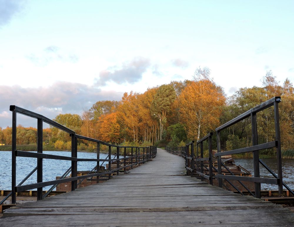 Дорога в осень / Way to autumn