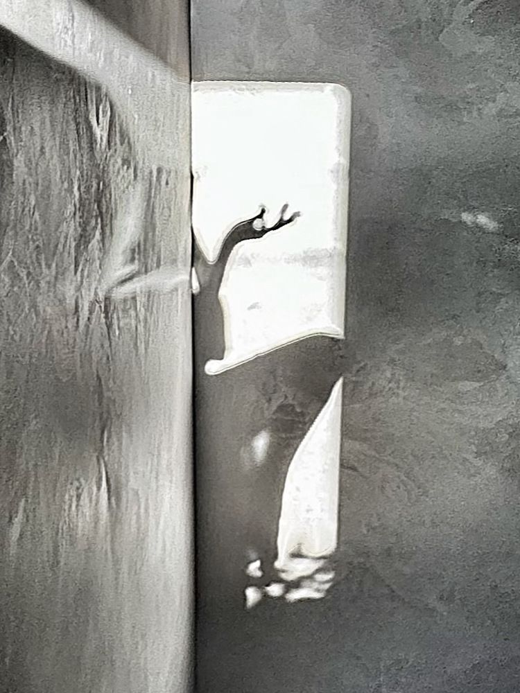 Photograph by Zhanna Kolesnikova