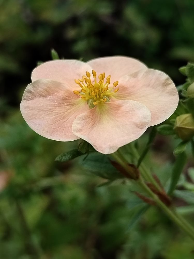 Photograph by Татьяна