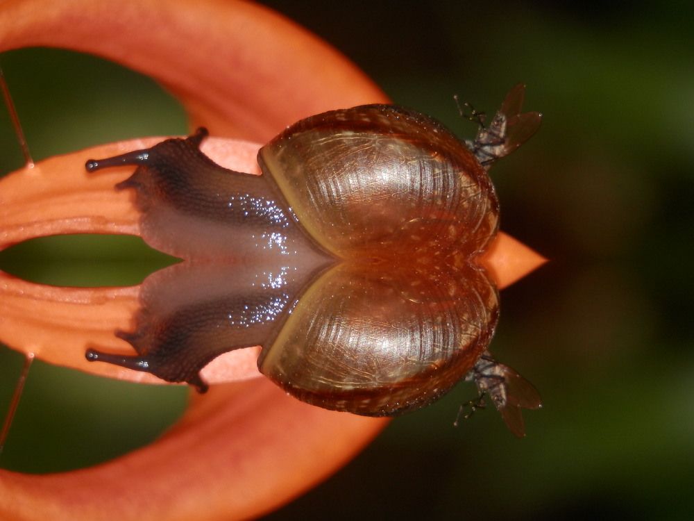 Photograph by Георгий Салюков