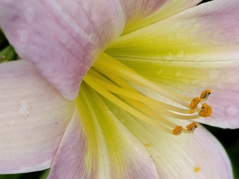 Photograph by Татьяна