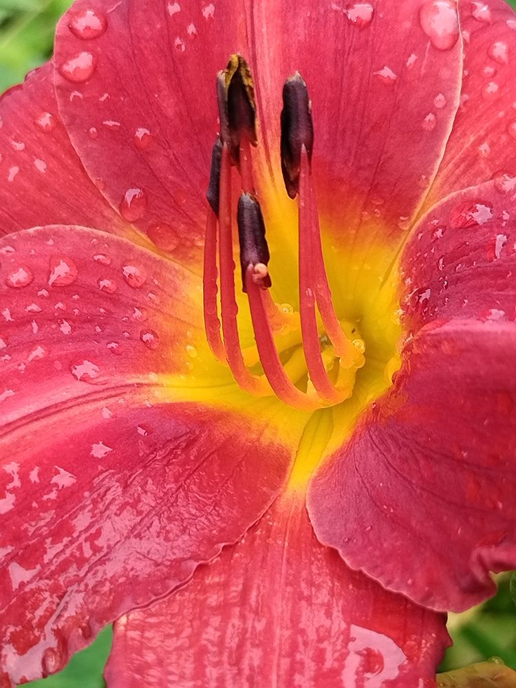 Photograph by Татьяна