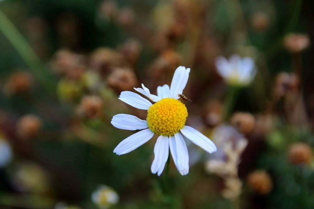 Photograph by Юрий Варюхин