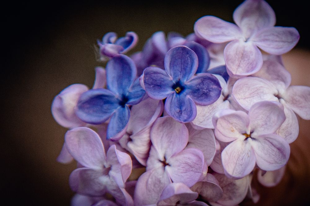 Фотография автора Станислава Гордеева