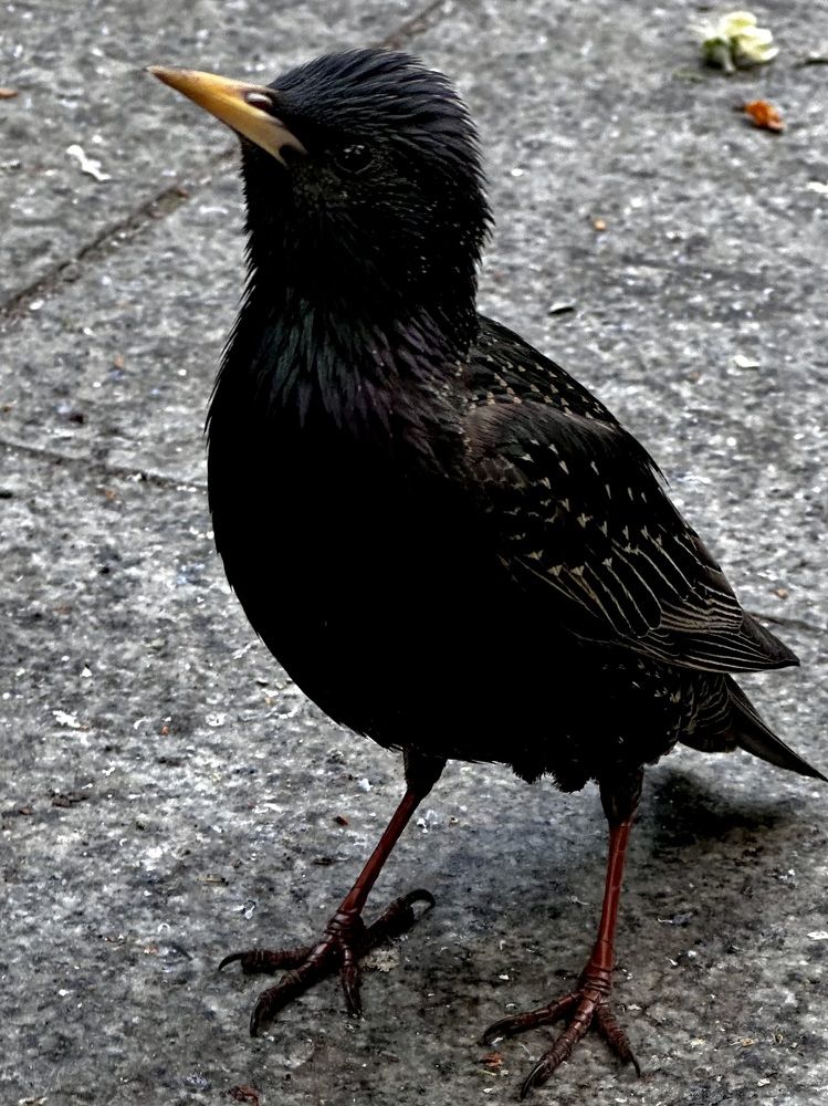 Photograph by Рина Серёгина