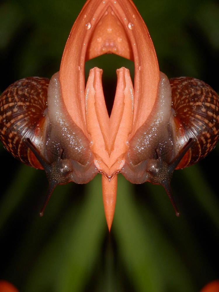 Photograph by Георгий Салюков