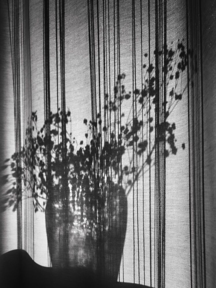 Photograph by Александра Кропивка