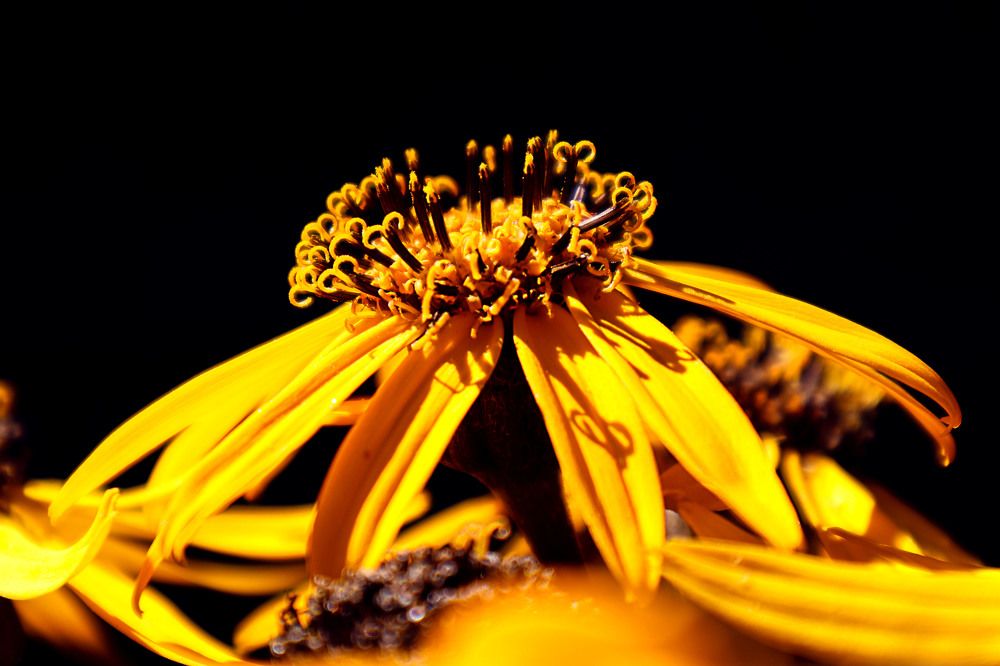 Photograph by Мария Самолевич