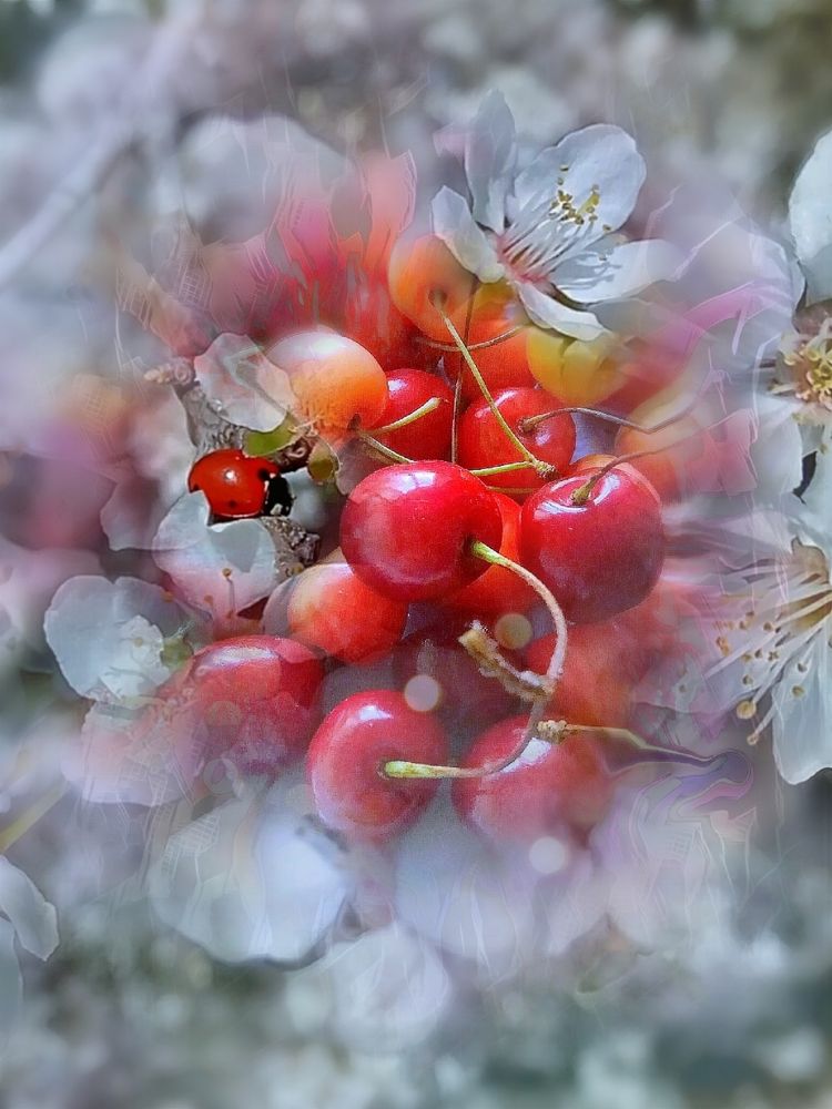 Как прекрасен этот мир