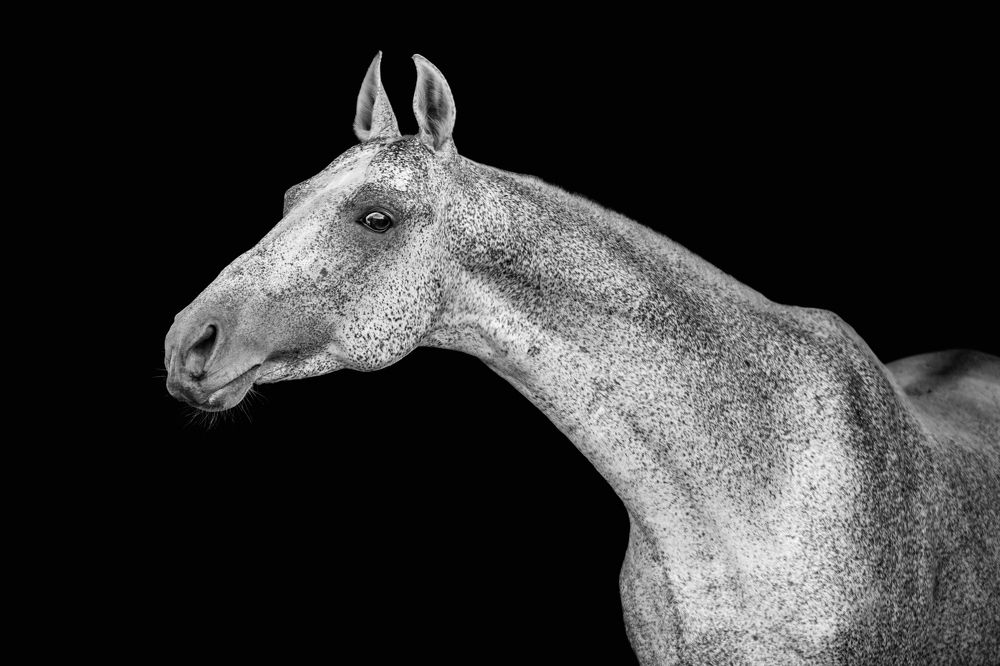 Photograph by Зубкова Юлия