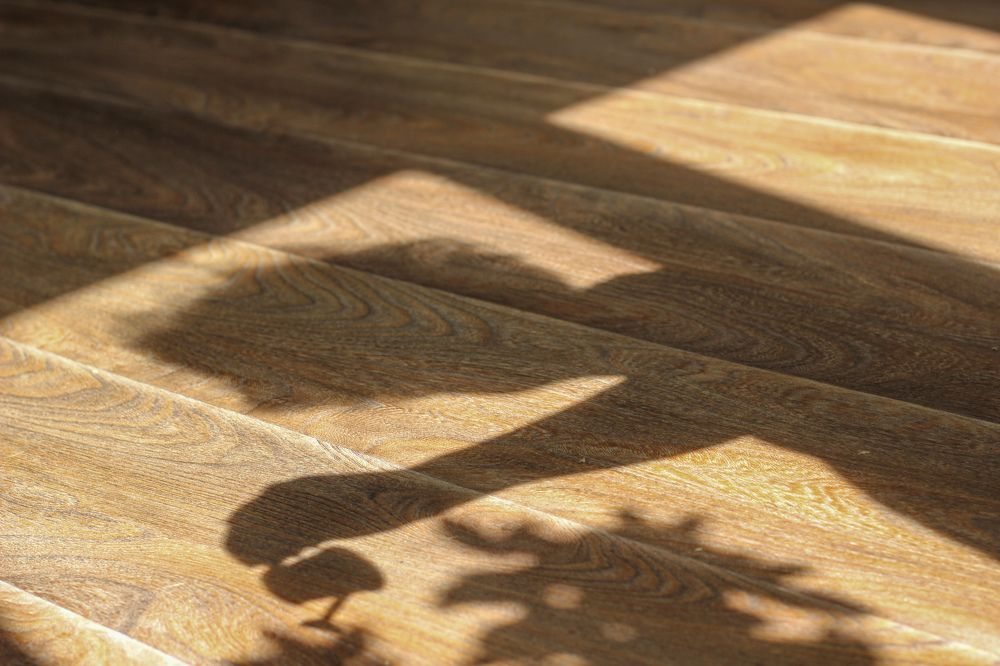 Photograph by Александра Шереметьева