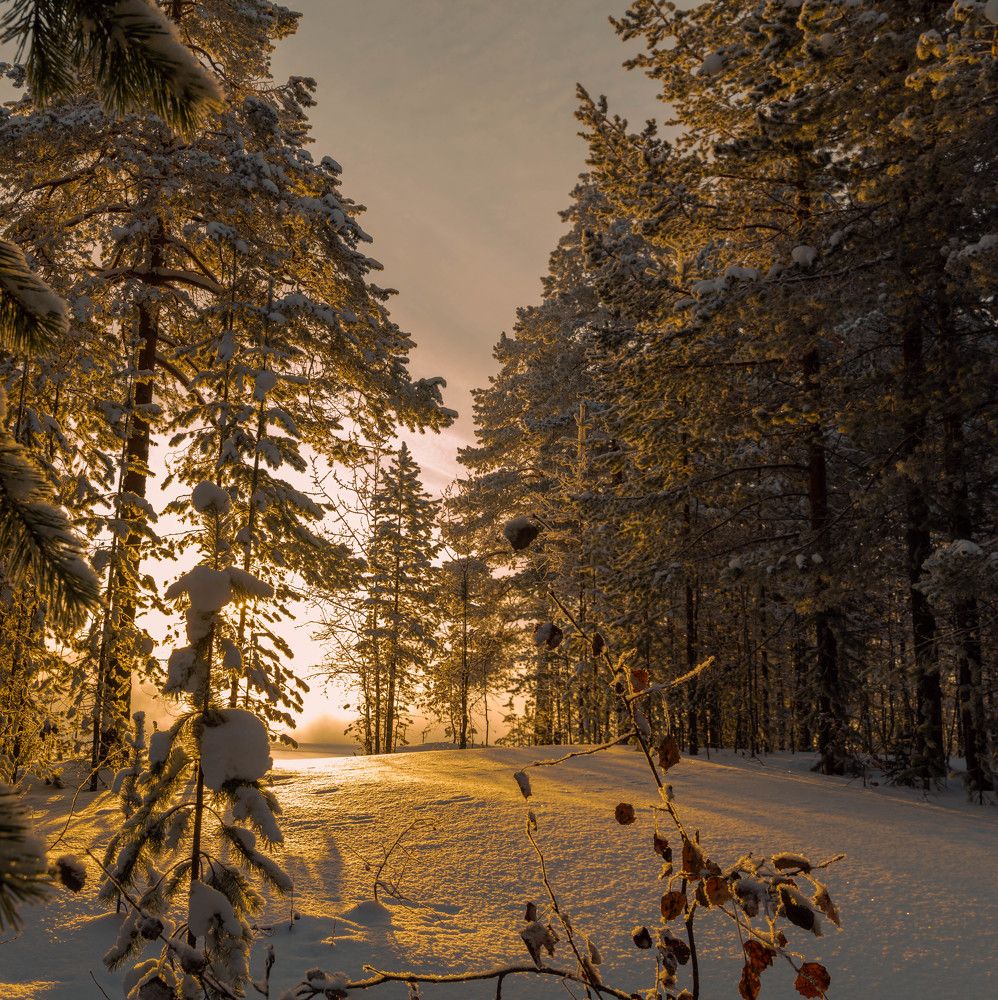 Photograph by Денис Рокин