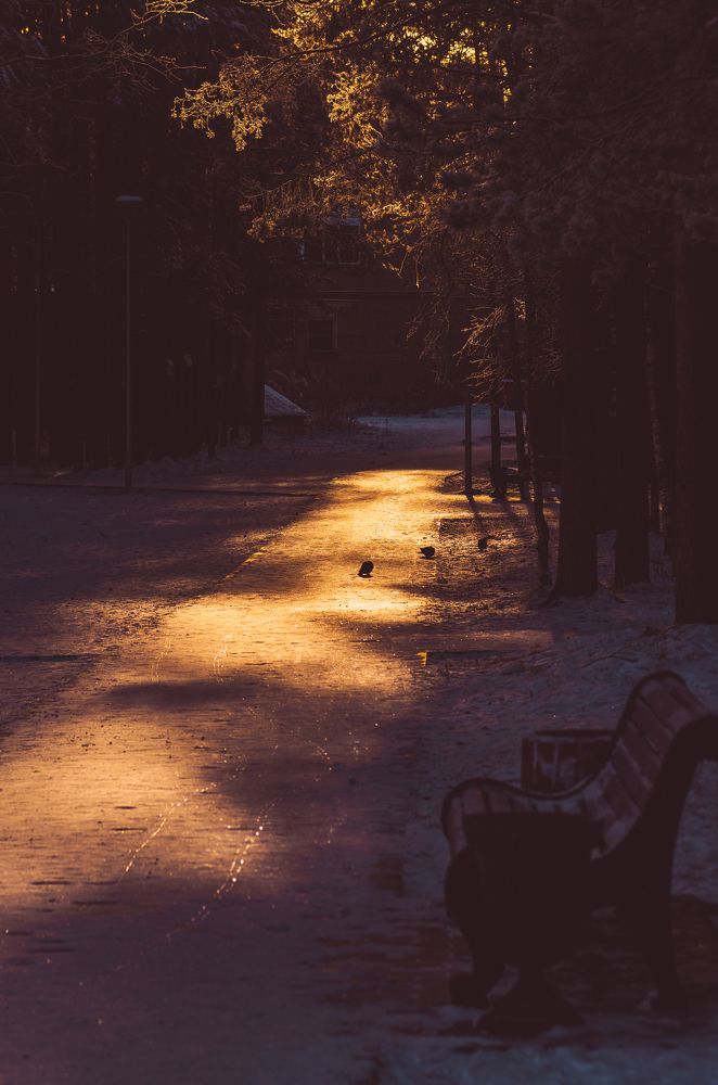 Photograph by Денис Рокин