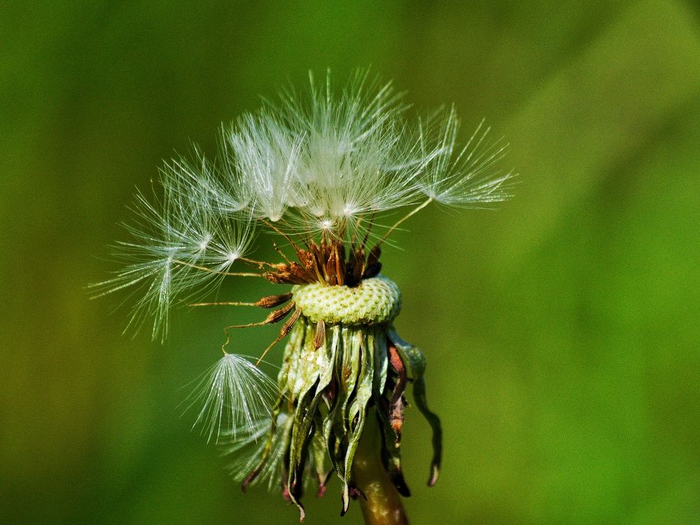 Photograph by Сергей Симаков