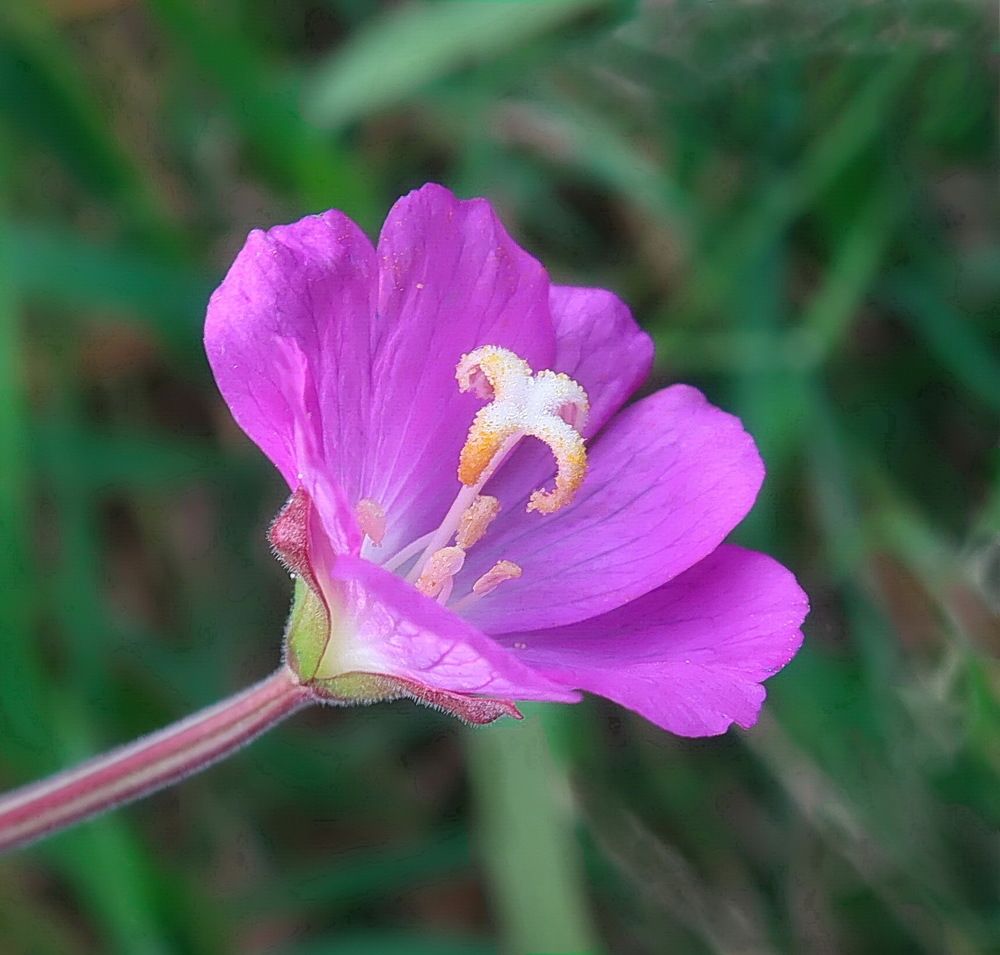 Photograph by Нина