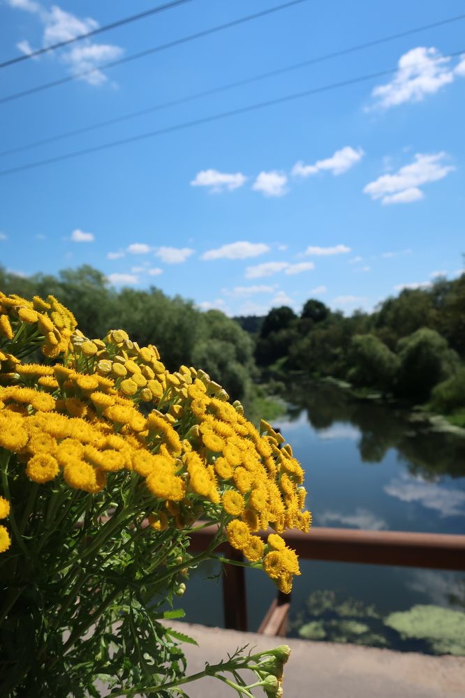 Photograph by Надежда Ткаченко