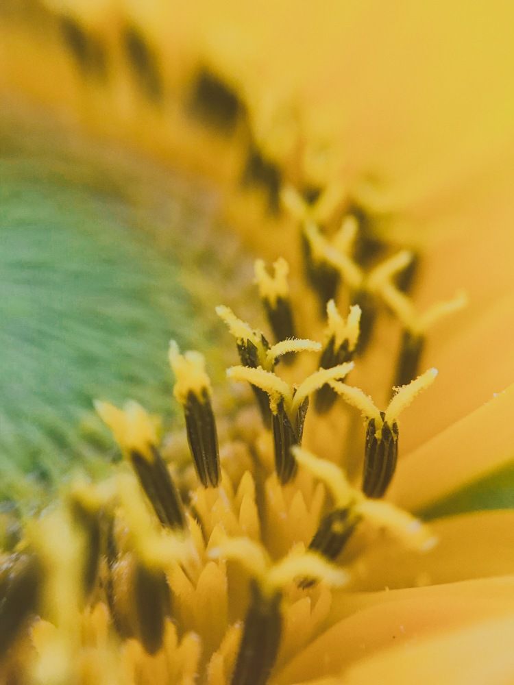 Photograph by Sr. Ma. Jenny Mhy-sy Yasa