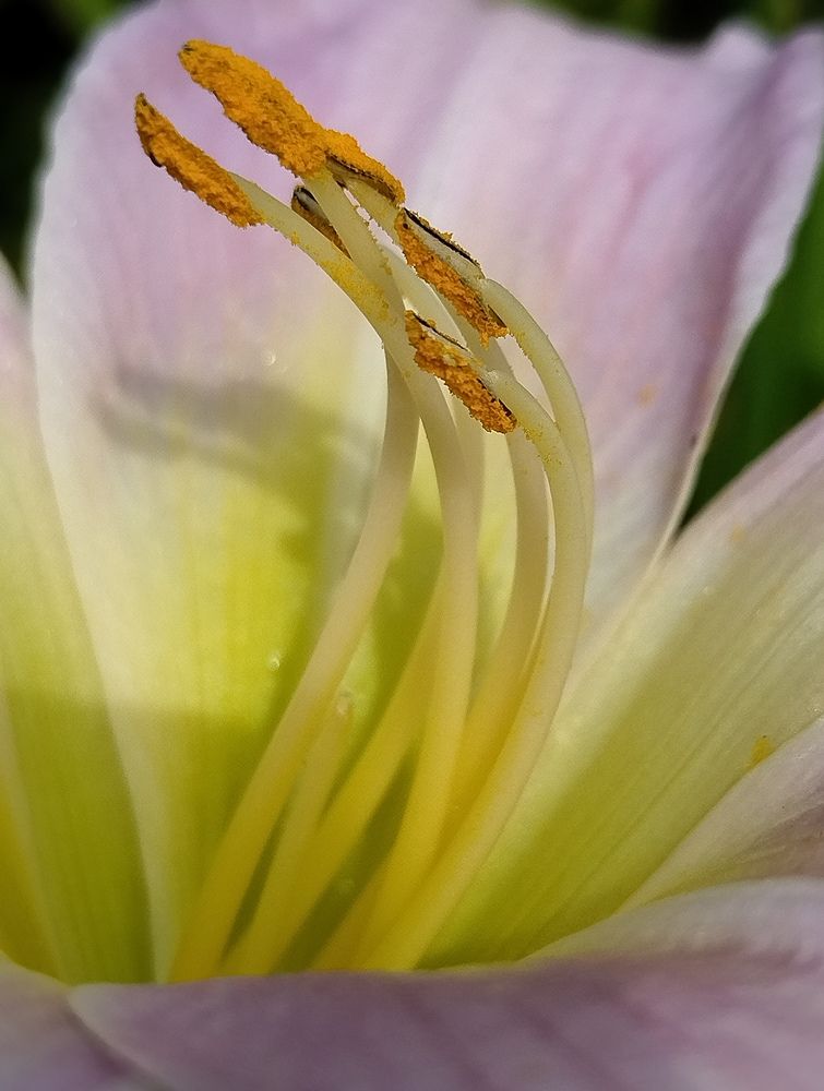 Photograph by Татьяна