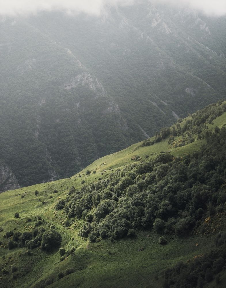 Photograph by Armen  Maitesian