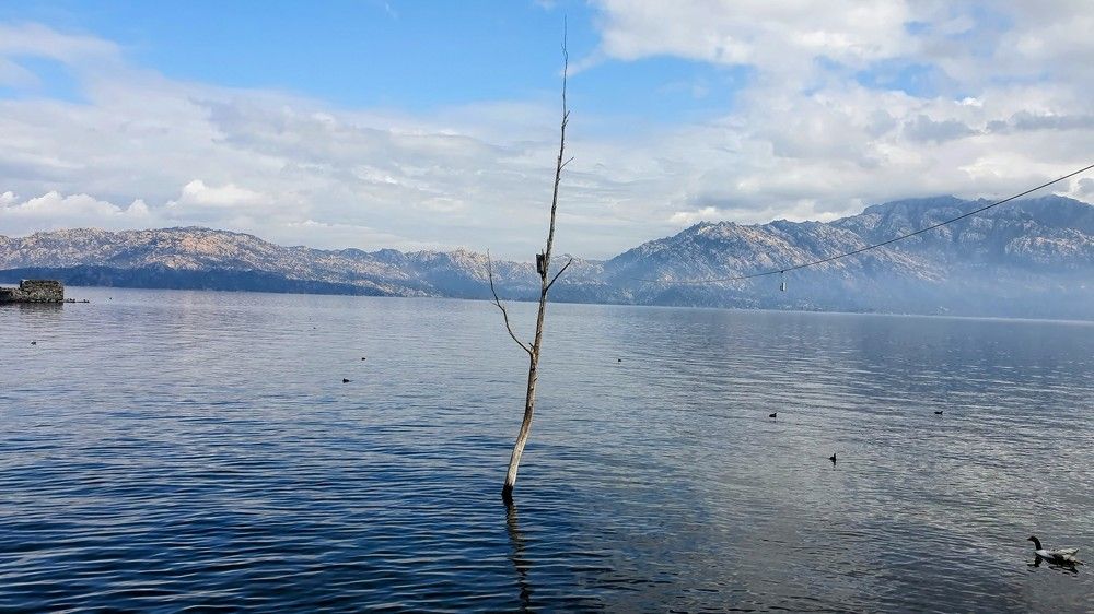 Photograph by Jasmina Zafer