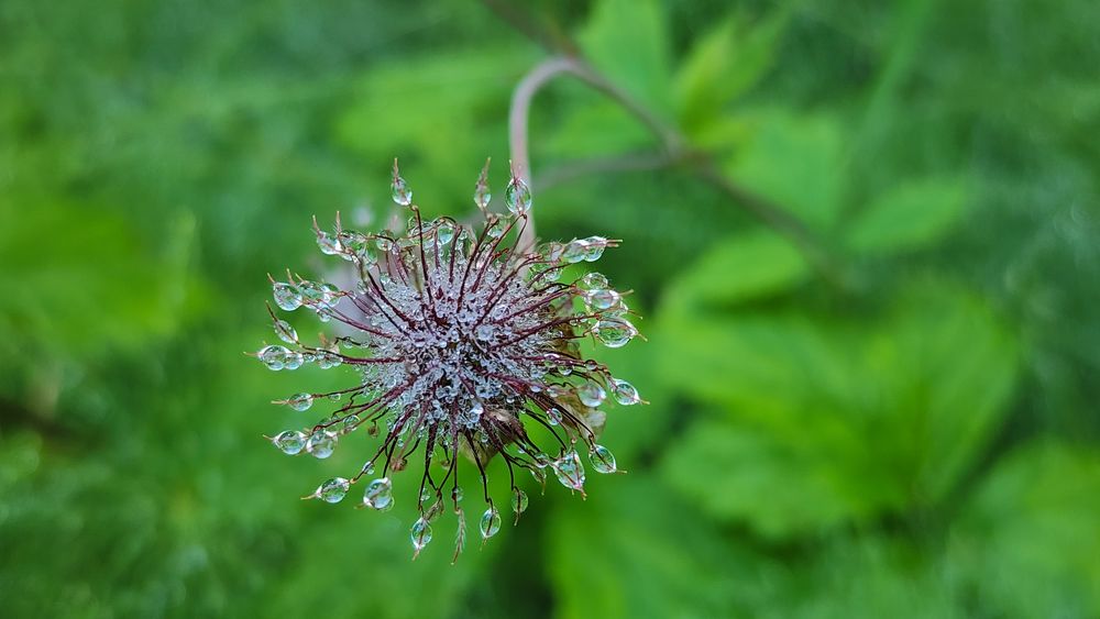 Photograph by Олег Филиппов