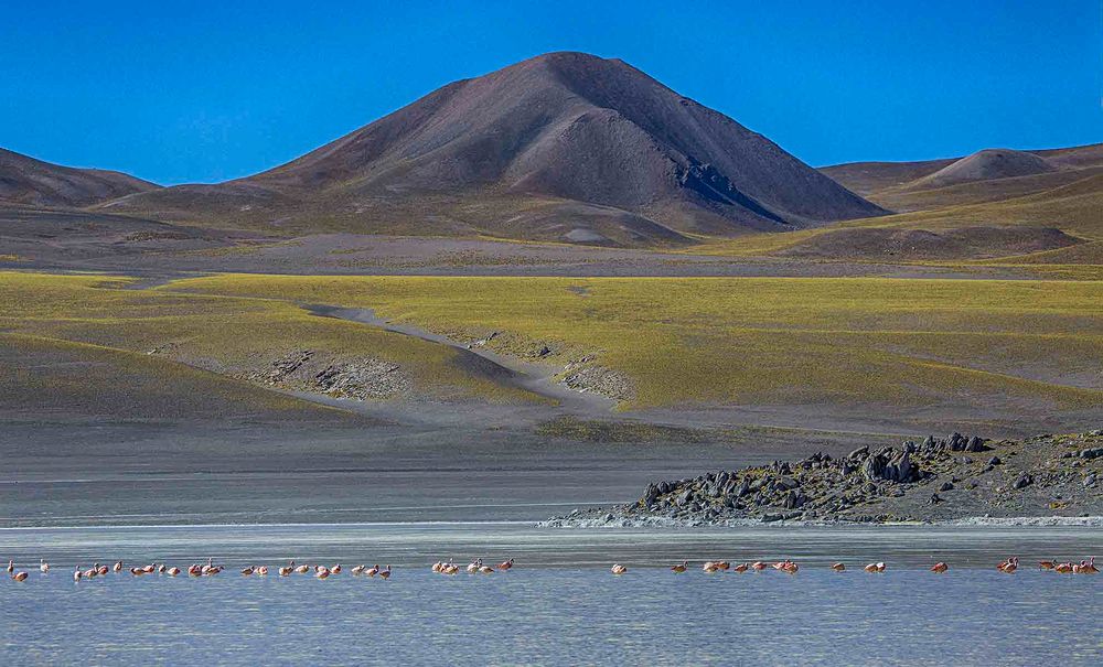 Фотография автора Marina Martorelli